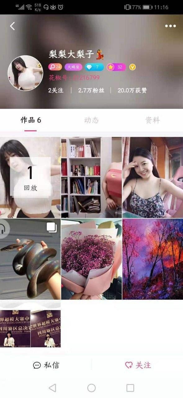 梨梨大梨子