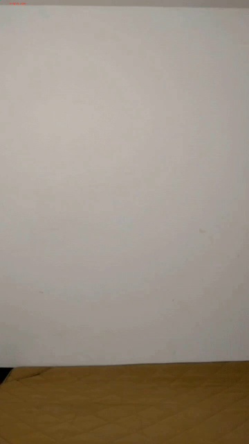 凤姐舞蹈