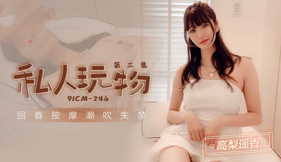 [91CM246]私人玩物3